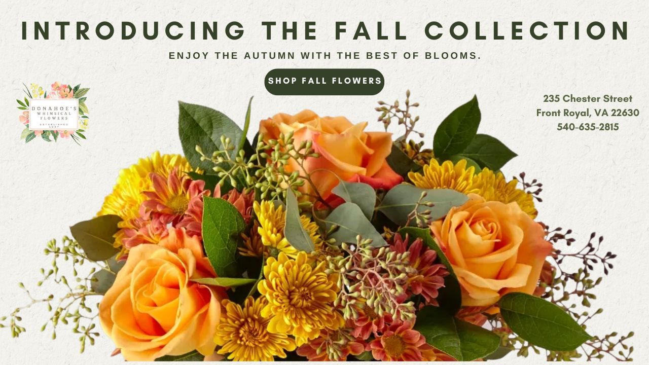 Flower Delivery to Front Royal by Donahoe's Whimsical Flowers